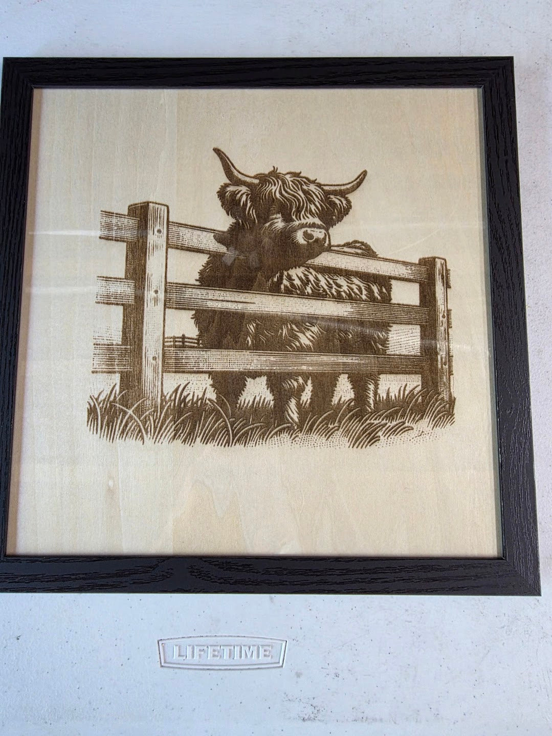 JNS 3D Laser engraved H-C picture