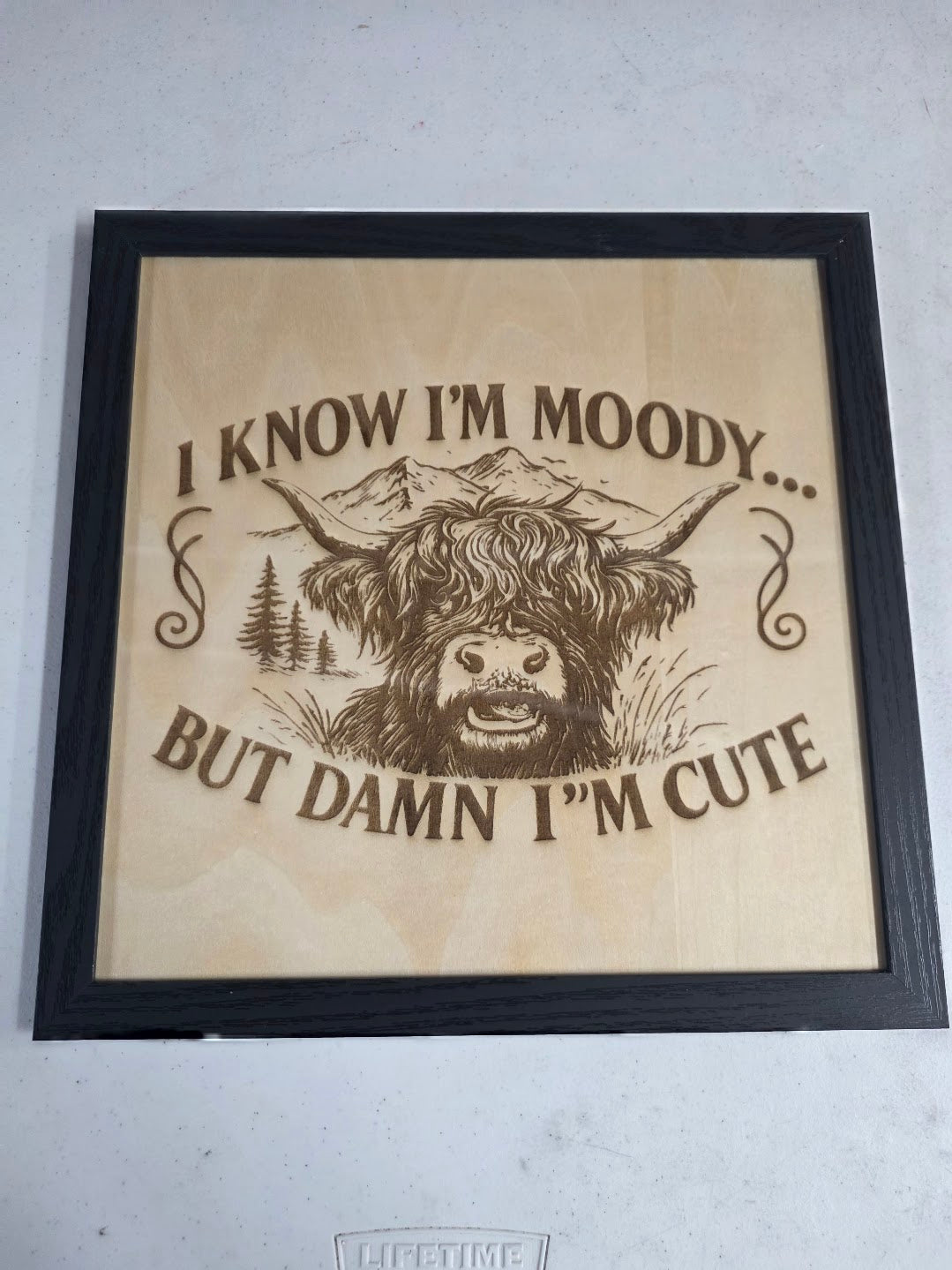 JNS 3D Laser engraved H-C picture2
