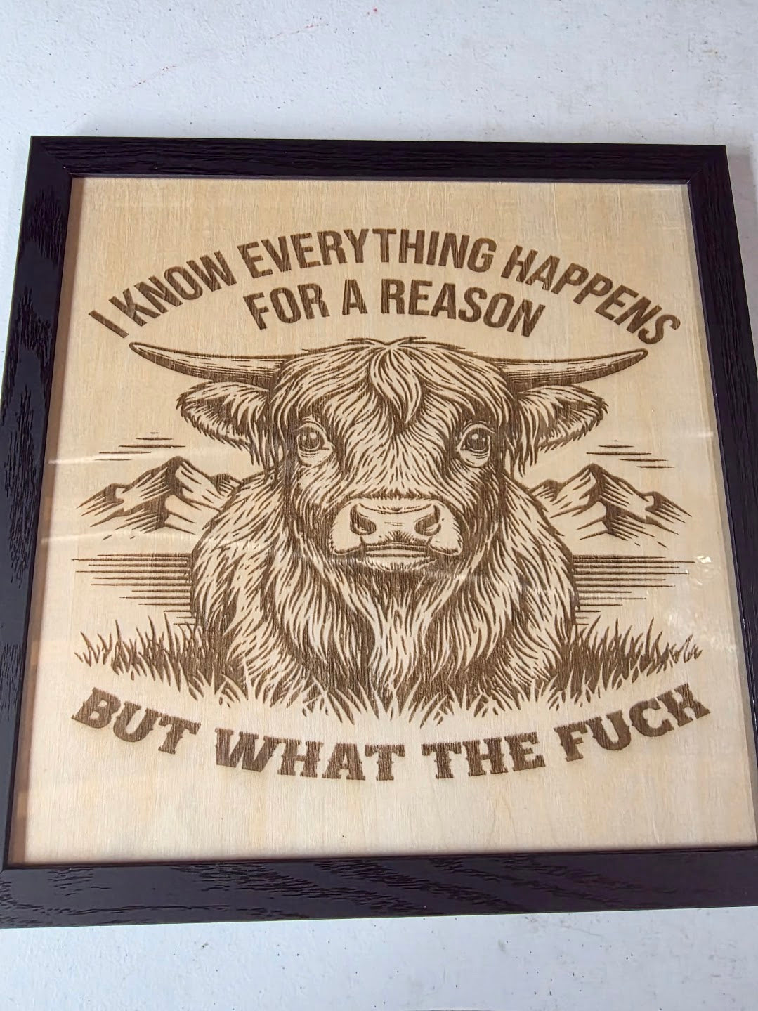 JNS 3DLaser engraved picture H-C 6