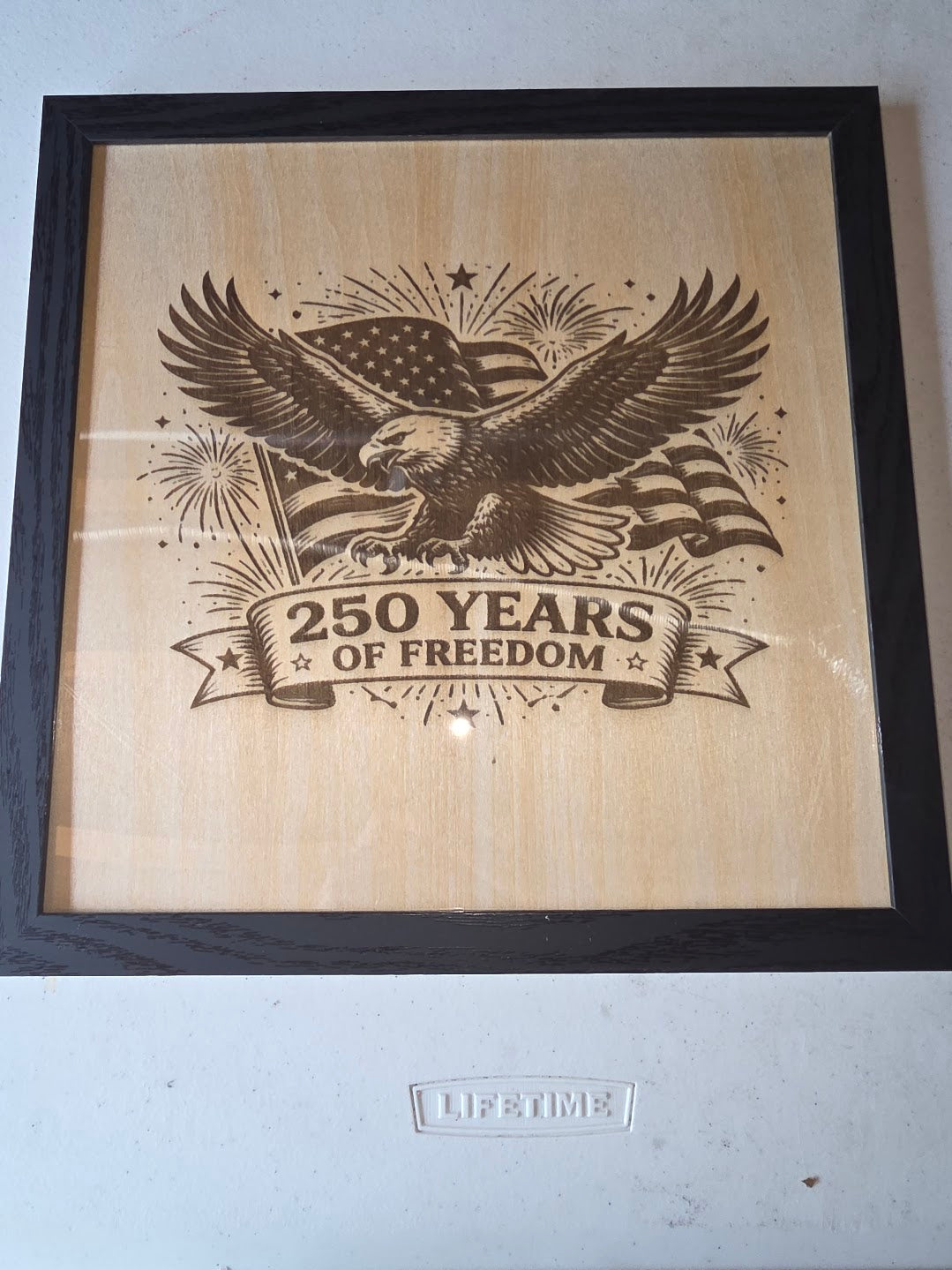 JNS 3D Laser engraved picture 250 eagle