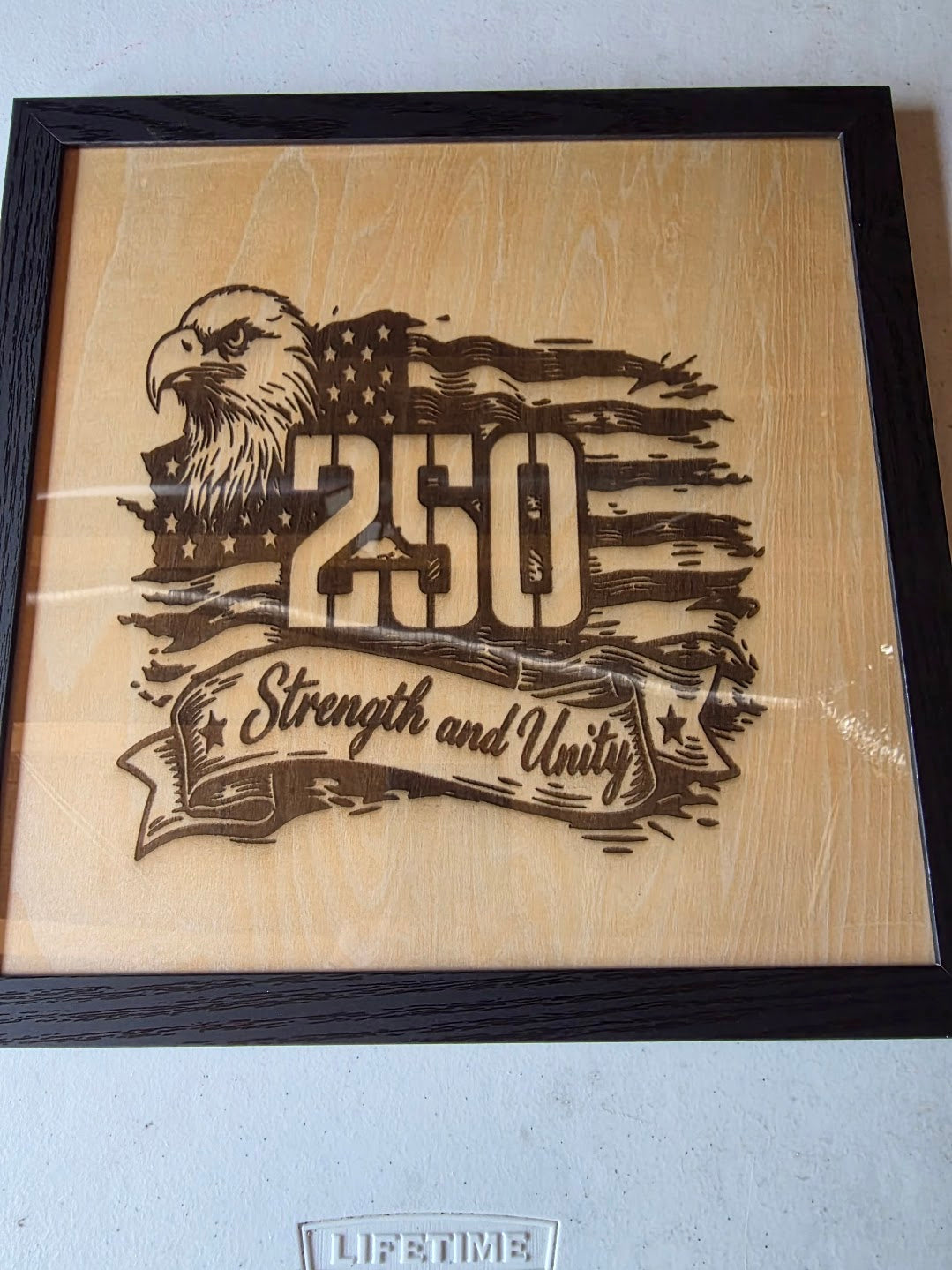 JNS 3D Laser engraved picture 250 eagle2