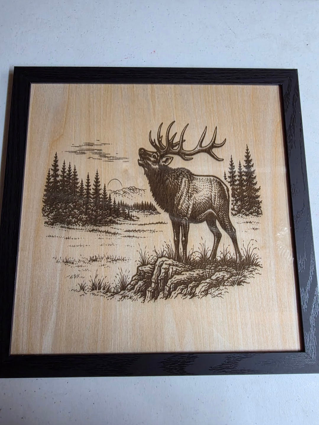 JNS 3D Laser engraved elk picture