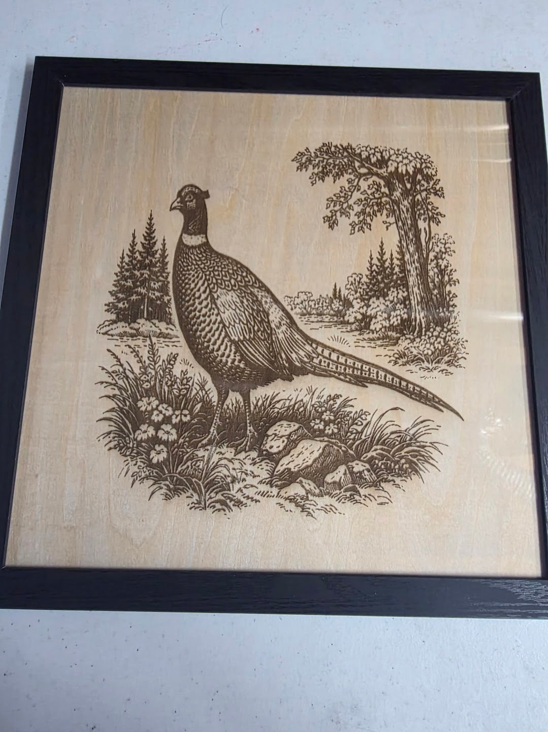 JNS 3D Laser engraved picture of pheasant